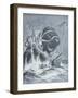 The Kraken Vs. Sperm Whales, 1900 (Litho)-Arthur Twidle-Framed Giclee Print