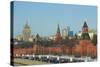 The Kremlin Wall and the Business Center, Moscow, Russia, Europe-Bruno Morandi-Stretched Canvas