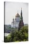 The Kremlin-Michael Runkel-Stretched Canvas