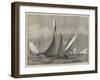 The Kriemhilda, with the Prince of Wales on Board, in Collision with the Shark at Cowes Regatta-null-Framed Giclee Print