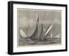 The Kriemhilda, with the Prince of Wales on Board, in Collision with the Shark at Cowes Regatta-null-Framed Giclee Print