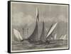 The Kriemhilda, with the Prince of Wales on Board, in Collision with the Shark at Cowes Regatta-null-Framed Stretched Canvas