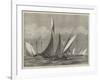 The Kriemhilda, with the Prince of Wales on Board, in Collision with the Shark at Cowes Regatta-null-Framed Giclee Print