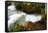 The Kuang Si Waterfalls Just Outside of Luang Prabang, Laos-Micah Wright-Framed Stretched Canvas