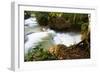 The Kuang Si Waterfalls Just Outside of Luang Prabang, Laos-Micah Wright-Framed Photographic Print