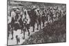 The Kuomintang Troops Captured Beijing in June 1928-null-Mounted Giclee Print