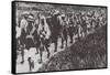 The Kuomintang Troops Captured Beijing in June 1928-null-Framed Stretched Canvas