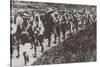 The Kuomintang Troops Captured Beijing in June 1928-null-Stretched Canvas