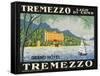 The Label for the Grand Hotel at Tremezzo on Lake Como-null-Framed Stretched Canvas