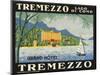 The Label for the Grand Hotel at Tremezzo on Lake Como-null-Mounted Premium Giclee Print