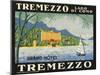 The Label for the Grand Hotel at Tremezzo on Lake Como-null-Mounted Premium Giclee Print
