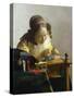 The Lacemaker, 1669-70-Johannes Vermeer-Stretched Canvas