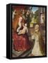 The Lactation of St. Bernard-Jan van Eeckele-Framed Stretched Canvas