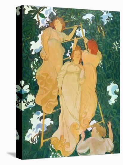 The Ladder in the Foliage, 1892-Maurice Denis-Stretched Canvas