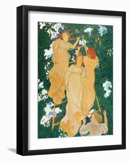 The Ladder in the Foliage, 1892-Maurice Denis-Framed Giclee Print