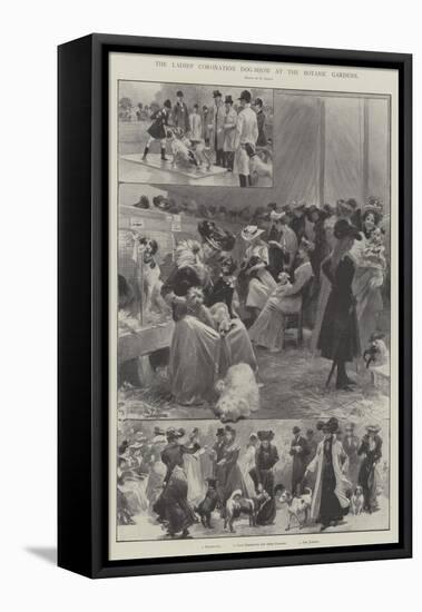 The Ladies' Coronation Dog-Show at the Botanic Gardens-G.S. Amato-Framed Stretched Canvas