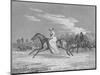 'The Lady at Egham Races', c1810-Richard Barrett Davis-Mounted Giclee Print
