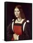 The Lady in Red-Giovanni Antonio Boltraffio-Framed Stretched Canvas