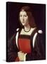 The Lady in Red-Giovanni Antonio Boltraffio-Stretched Canvas