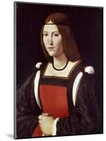 The Lady in Red-Giovanni Antonio Boltraffio-Mounted Giclee Print