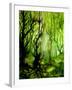 The Lady of the Forest-Cherie Roe Dirksen-Framed Giclee Print