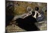 The Lady with the Fans, c.1873-Edouard Manet-Mounted Giclee Print