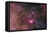 The Lagoon Nebula and Trifid Nebula in the Constellation Sagittarius-null-Framed Stretched Canvas