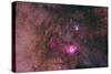 The Lagoon Nebula and Trifid Nebula in the Constellation Sagittarius-null-Stretched Canvas