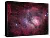 The Lagoon Nebula-Stocktrek Images-Stretched Canvas