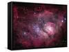 The Lagoon Nebula-Stocktrek Images-Framed Stretched Canvas