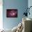 The Lagoon Nebula-Stocktrek Images-Photographic Print displayed on a wall
