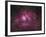 The Lagoon Nebula-Stocktrek Images-Framed Photographic Print