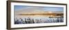 The Lagoon of Mira, Place of Serenity and Meditation. Portugal-Mauricio Abreu-Framed Photographic Print