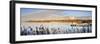 The Lagoon of Mira, Place of Serenity and Meditation. Portugal-Mauricio Abreu-Framed Photographic Print
