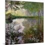 The Lake at Montgeron-Claude Monet-Mounted Giclee Print