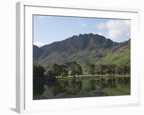 The Lake Buttermere Pines with Haystacks, Lake District National Park, Cumbria, England, UK, Europe-James Emmerson-Framed Photographic Print