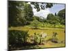 The Lake by South Drive in the 60 Hectare Royal Botanic Gardens at Peradeniya, Near Kandy, Sri Lank-Rob Francis-Mounted Photographic Print