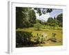 The Lake by South Drive in the 60 Hectare Royal Botanic Gardens at Peradeniya, Near Kandy, Sri Lank-Rob Francis-Framed Photographic Print