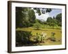 The Lake by South Drive in the 60 Hectare Royal Botanic Gardens at Peradeniya, Near Kandy, Sri Lank-Rob Francis-Framed Photographic Print