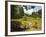 The Lake by South Drive in the 60 Hectare Royal Botanic Gardens at Peradeniya, Near Kandy, Sri Lank-Rob Francis-Framed Photographic Print