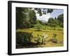 The Lake by South Drive in the 60 Hectare Royal Botanic Gardens at Peradeniya, Near Kandy, Sri Lank-Rob Francis-Framed Photographic Print