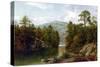 The Lake George, 1876-David Johnson-Stretched Canvas