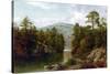The Lake George, 1876-David Johnson-Stretched Canvas