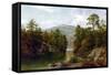 The Lake George, 1876-David Johnson-Framed Stretched Canvas