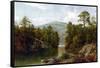 The Lake George, 1876-David Johnson-Framed Stretched Canvas