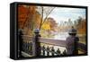 The Lake in Central Park, Manhattan, New York City-Sabine Jacobs-Framed Stretched Canvas