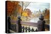 The Lake in Central Park, Manhattan, New York City-Sabine Jacobs-Stretched Canvas