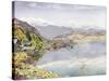 The Lake of Lucerne, Mount Pilatus in the Distance, 1857 (W/C on Paper)-John William Inchbold-Stretched Canvas