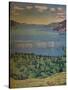 'The Lake of Thun, from Leissigen', c1910-Ferdinand Hodler-Stretched Canvas