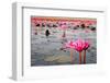 The Lake of Water Lily, Udonthani, Thailand-doraclub-Framed Photographic Print